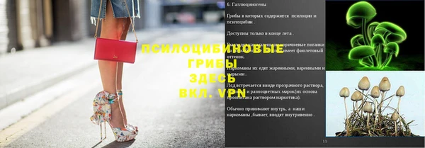 стафф Алексеевка