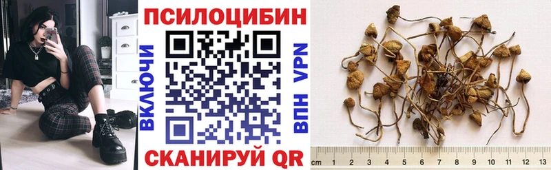 Галлюциногенные грибы прущие грибы  продажа наркотиков  Богучар 